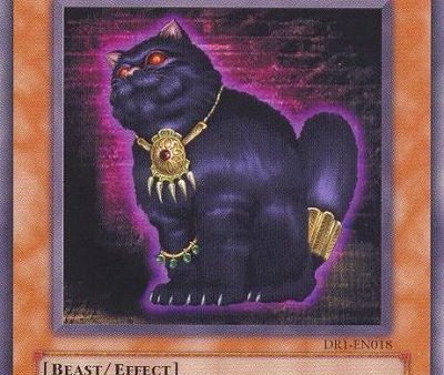 A Cat of Ill Omen [DR1-EN018] Common For Discount