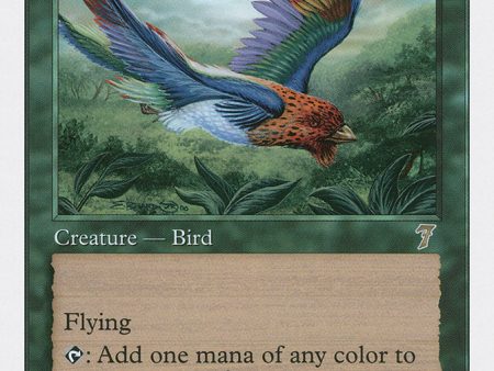 Birds of Paradise [Seventh Edition] on Sale